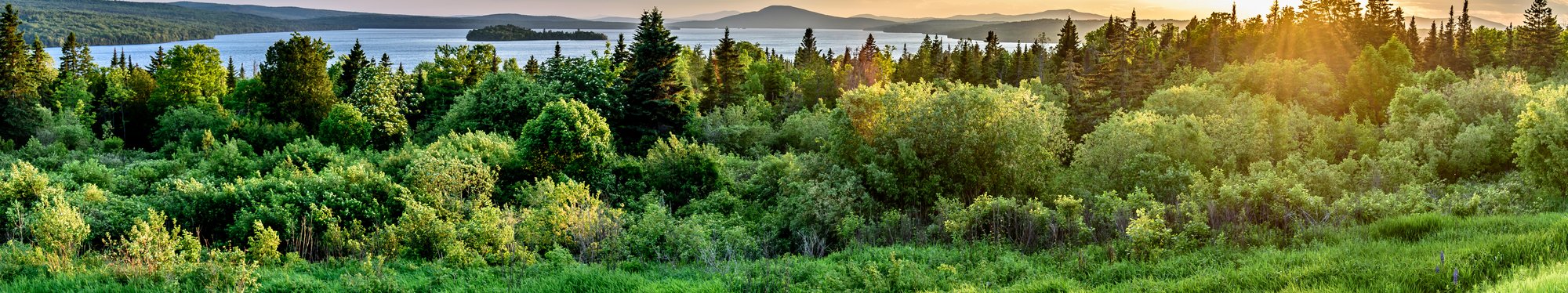 Lakeside Maine camp at golden hour — connected far from the nearest cable pole